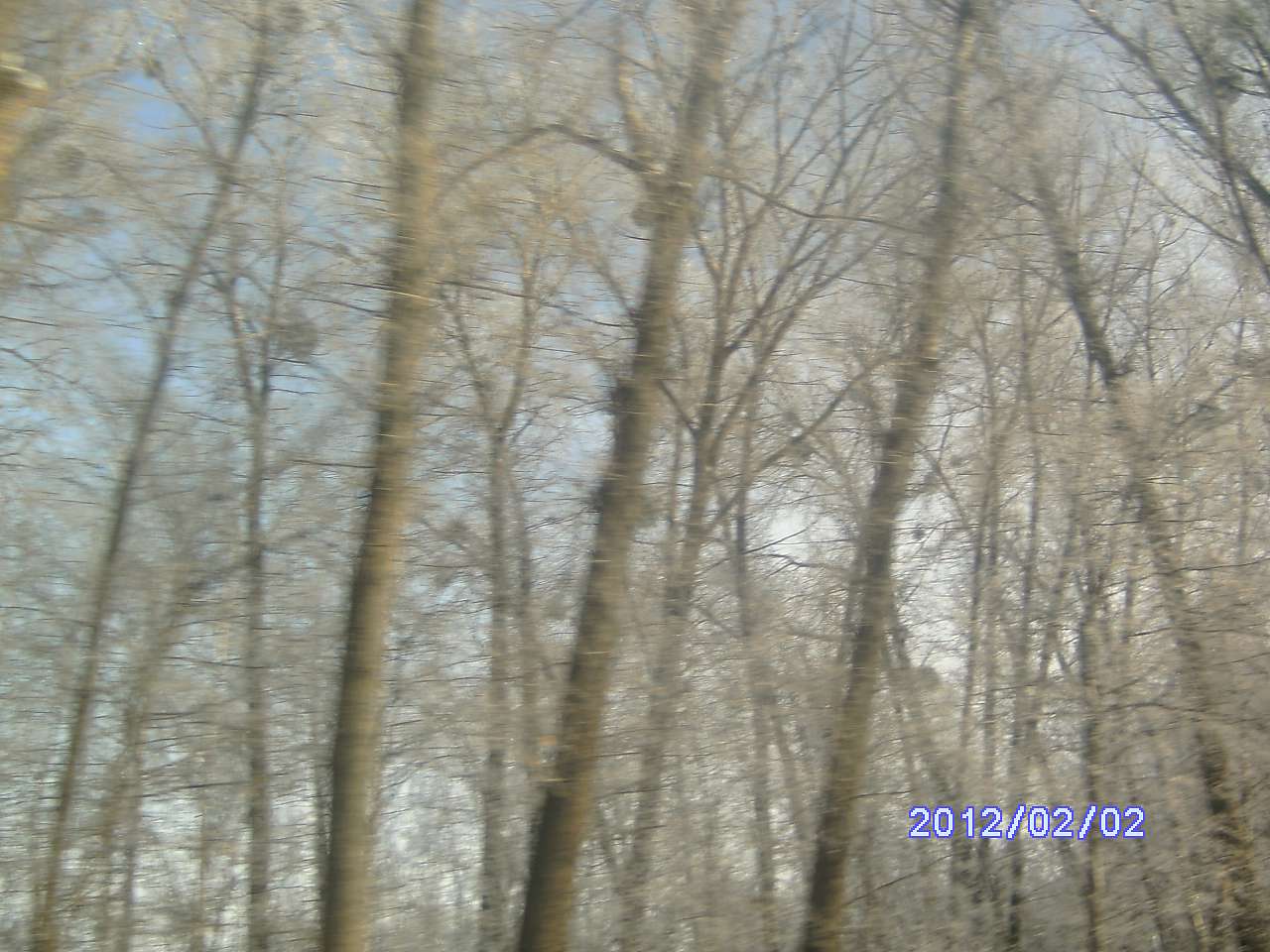 Зима в Дешках - Дешки