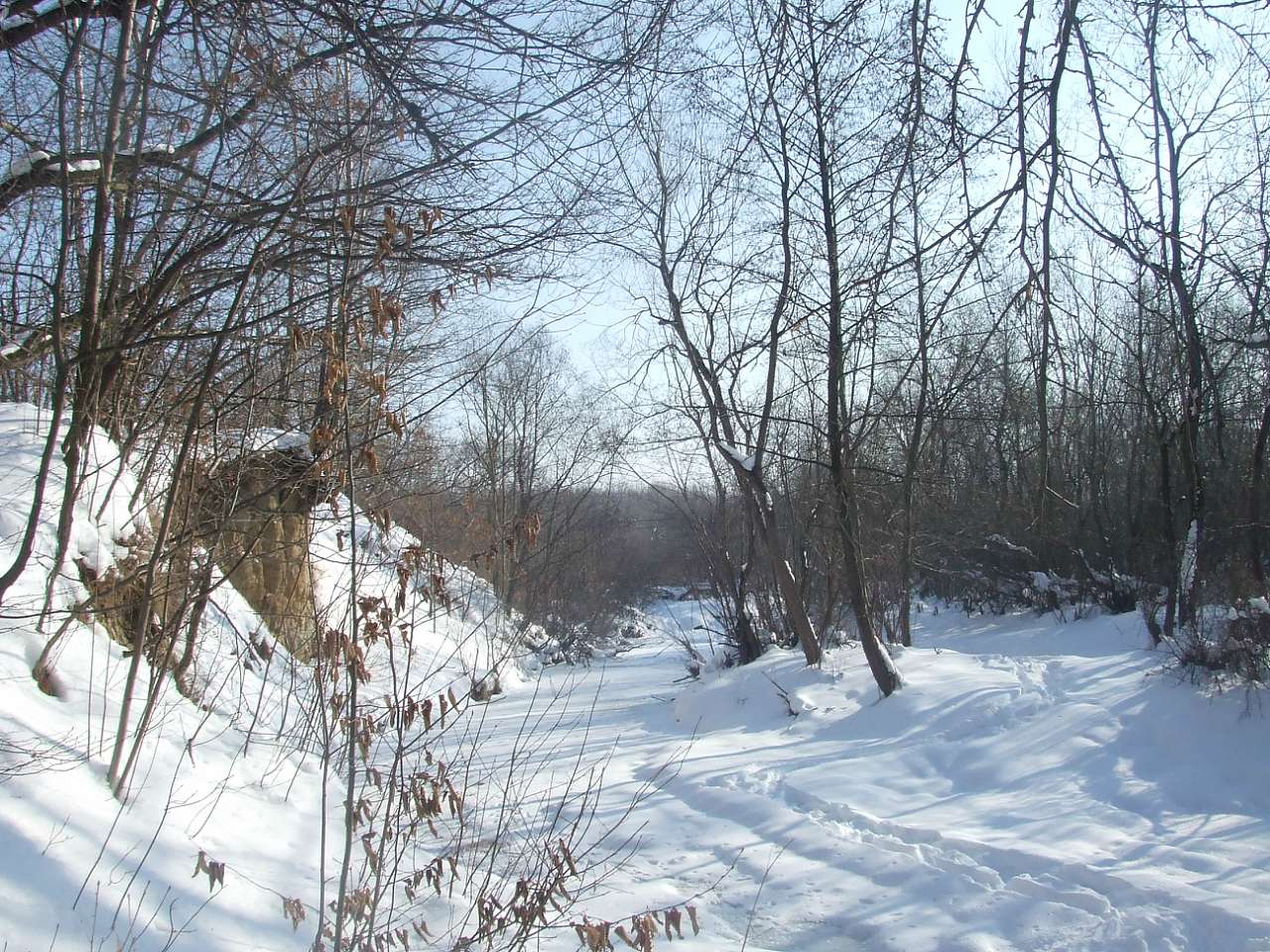 річка Жижава - Горишнее
