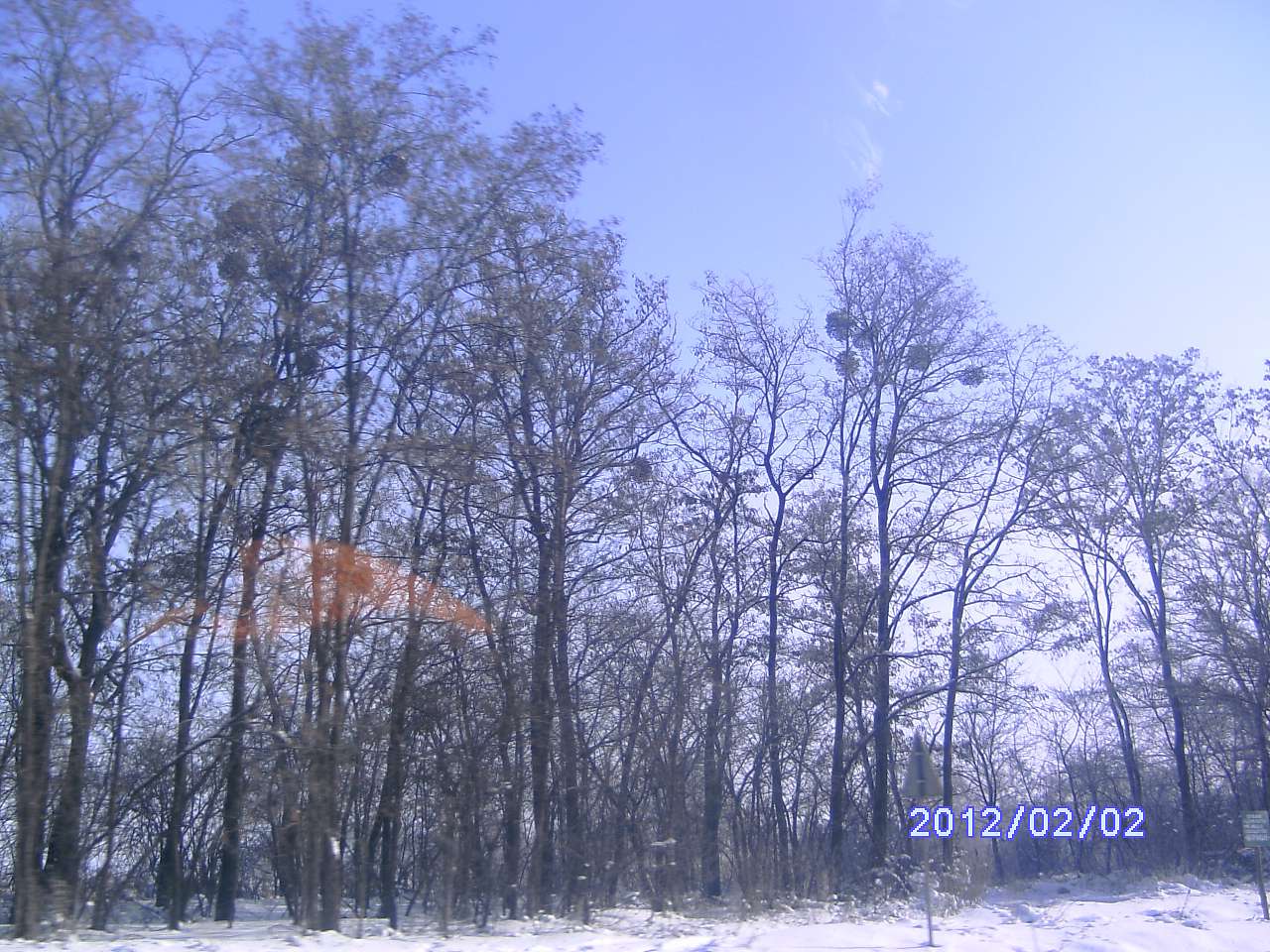 Зима в Дешках - Дешки