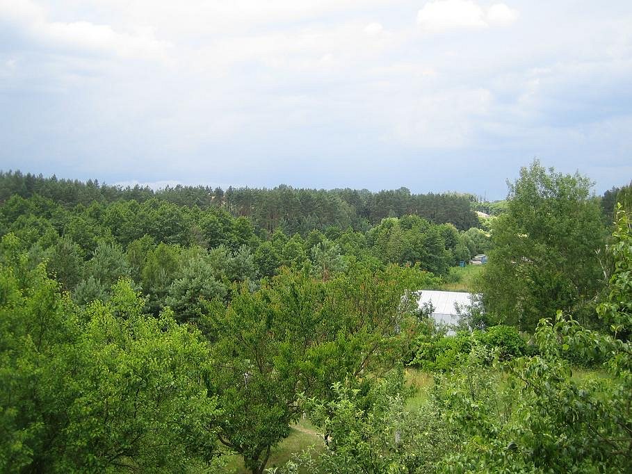 Неграшівський Неграш - Неграши