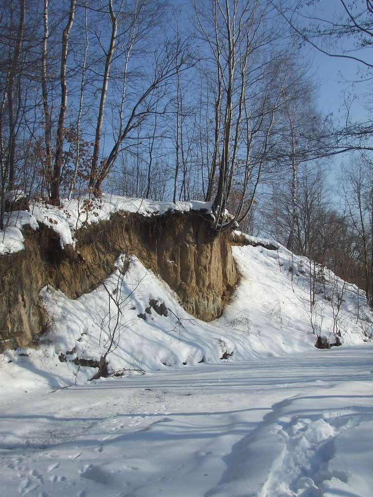 річка Жижава - Горишнее