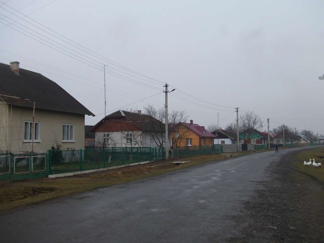 Краєвид - Нижня Лукавиця