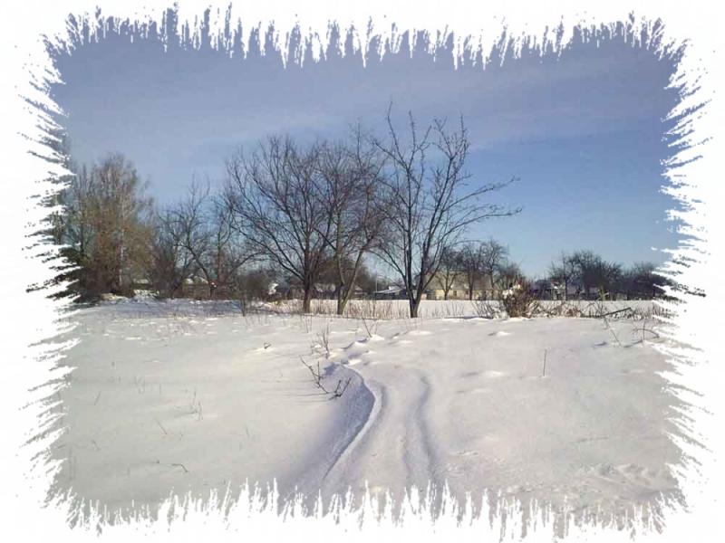 _Зимова казка - Иваница