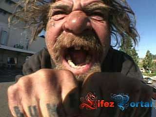 наші селюки - Сингаї