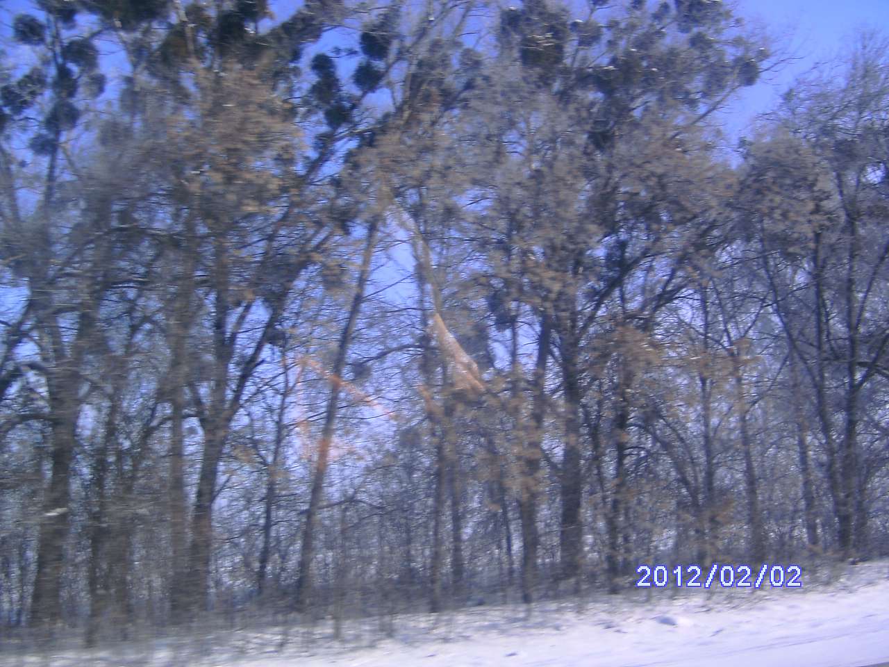 Зима в Дешках - Дешки