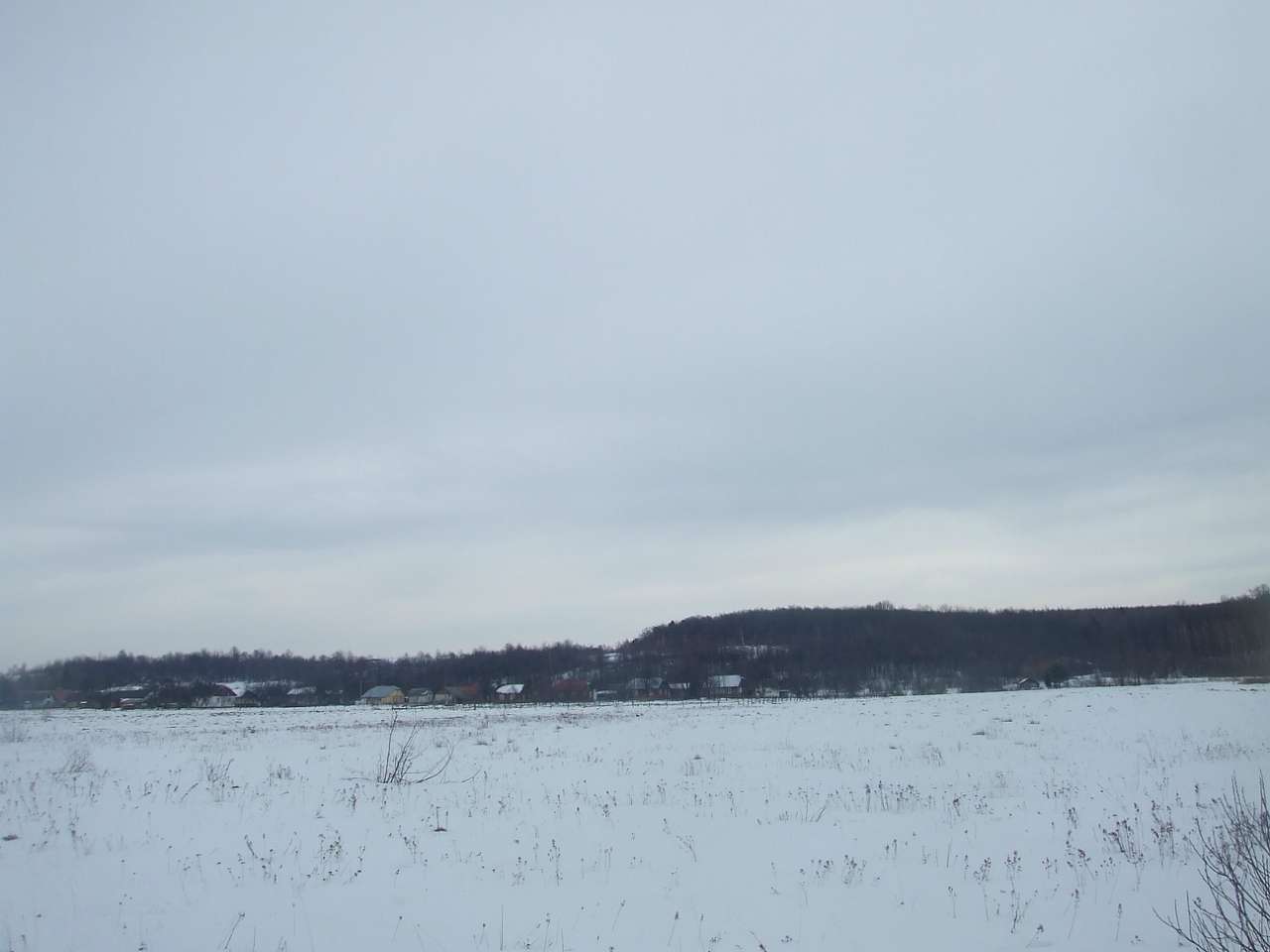 краєвид - Dolishnye