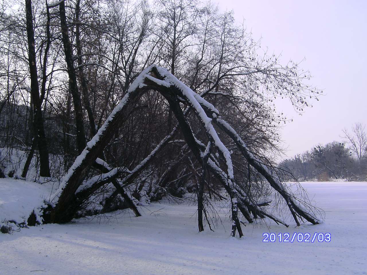 Зима в Дешках - Дешки