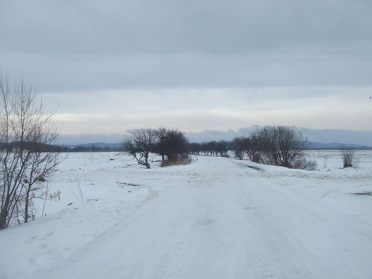 краєвид - Dolishnye