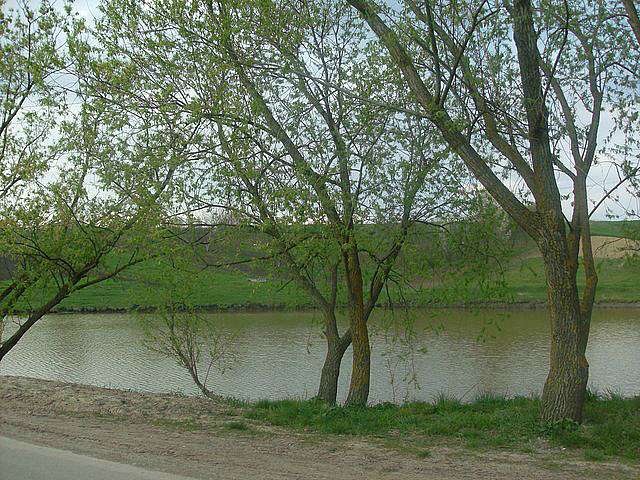 природа Рокитне... - Рокитне