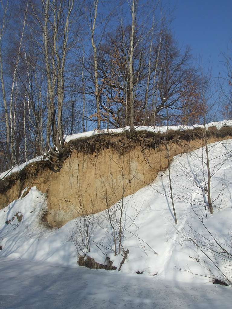 річка Жижава - Горишнее