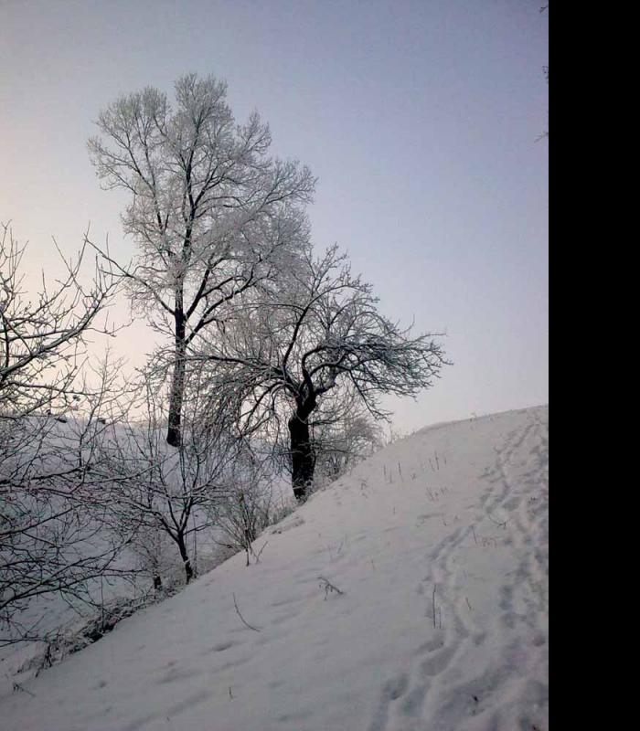 _Зимова казка - Иваница