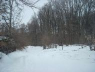 Вороб’ївка