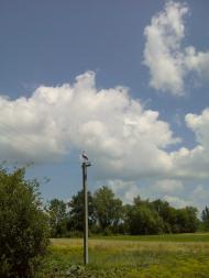 с.Сингаевка