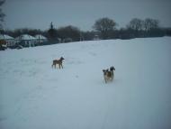 Вороб’ївка