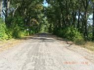 с.Сингаевка