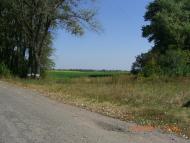 с.Сингаевка