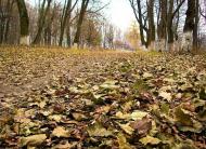 Парк села Деребчин