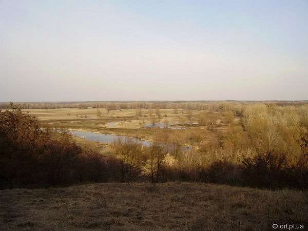 Рідний край - Дзюбівщина