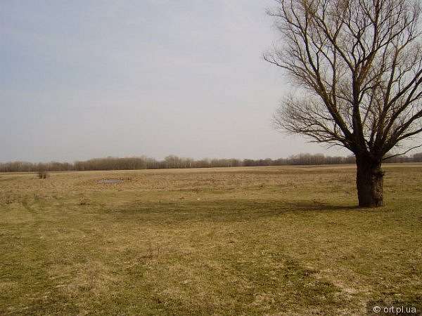 Рідний край - Дзюбовщина