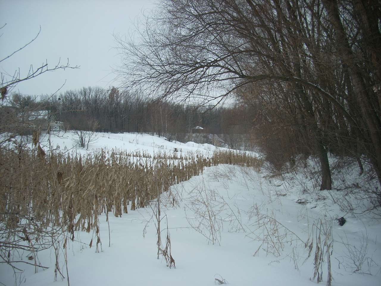 Вороб’ївка - Безбородьки