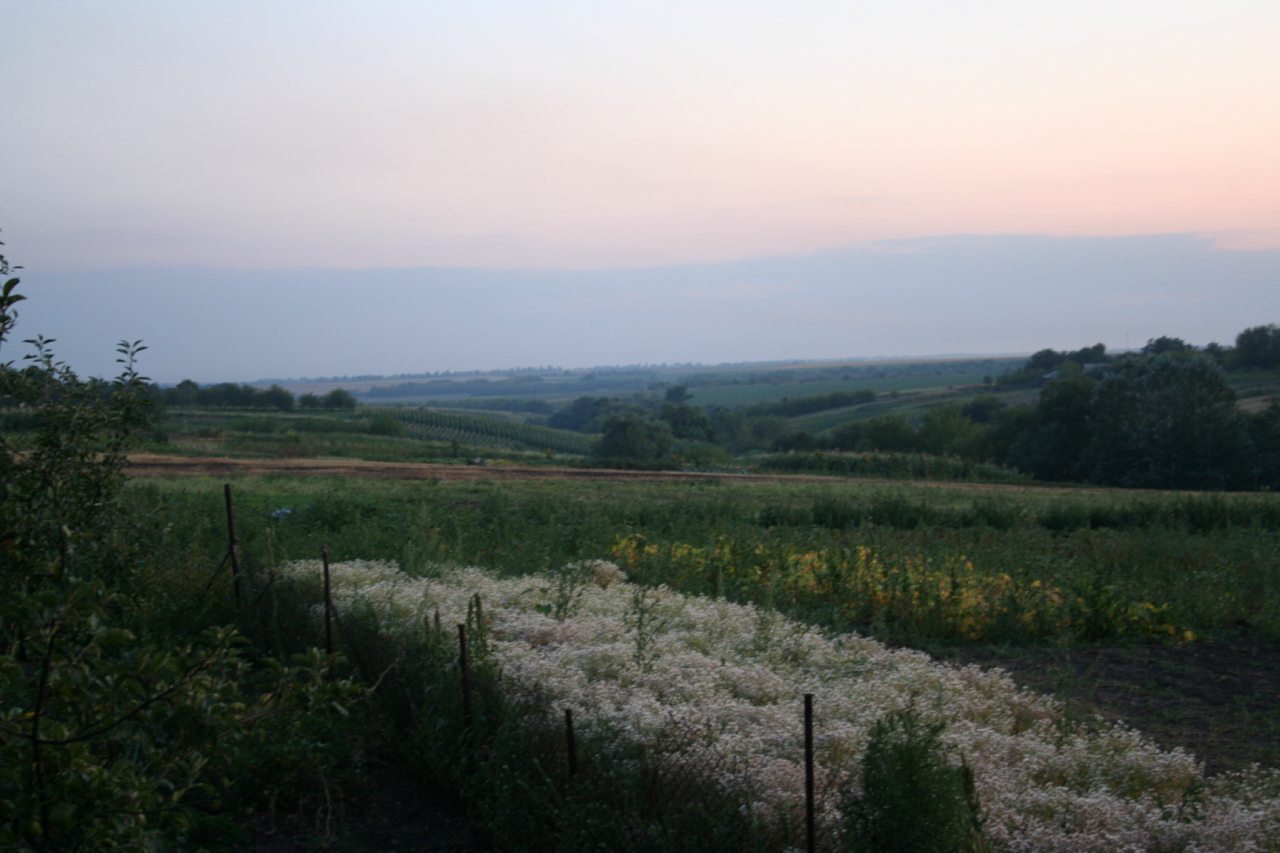 Воробьевка (Ляхово-2008) - Вороб'ївка