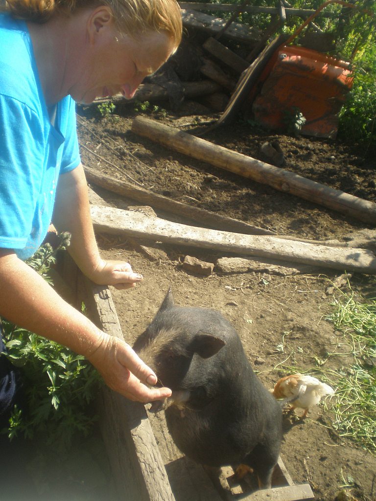 кокое - Кулига