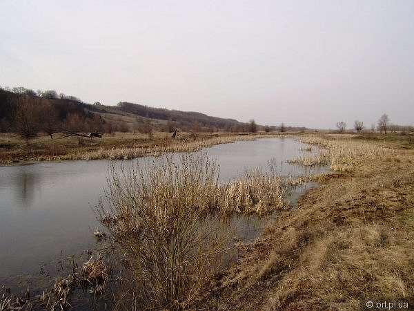 Рідний край - Дзюбівщина