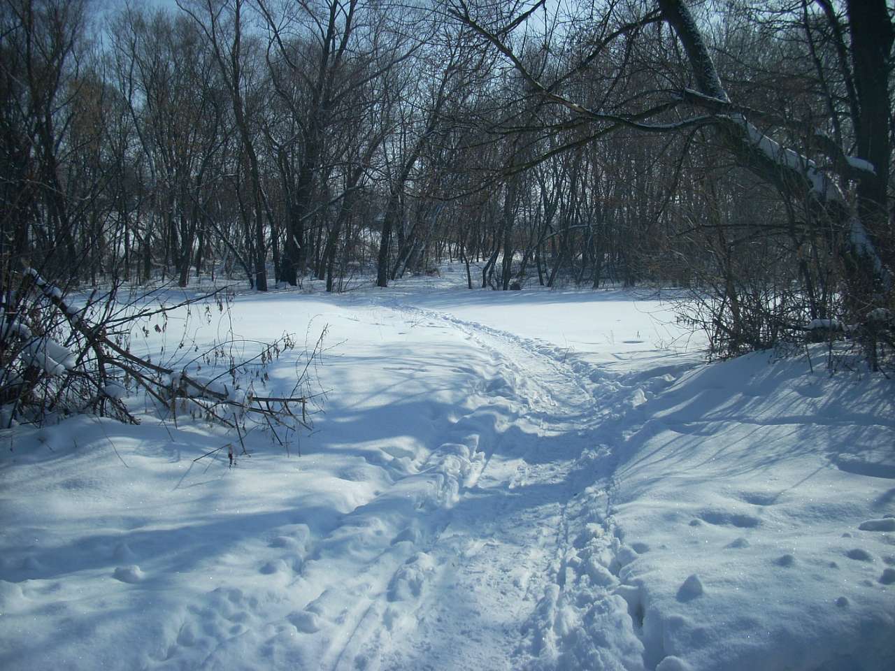 Вороб’ївка - Безбородьки