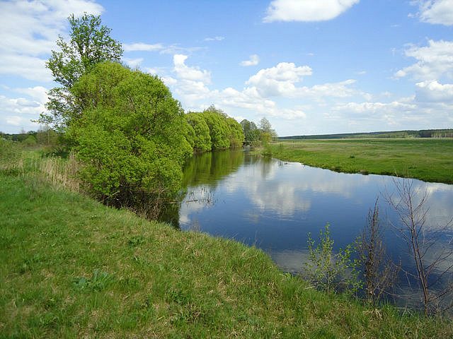 р. Ревна - Орликівка