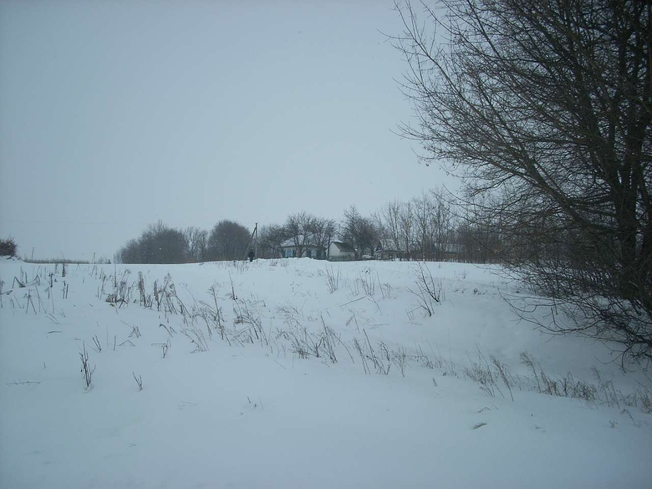 Вороб’ївка - Безбородьки