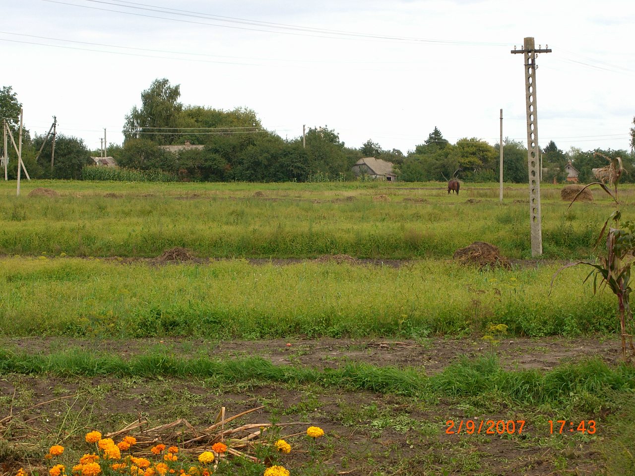с.Сингаевка - Сингаївка