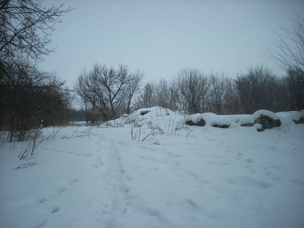 Вороб’ївка - Безбородьки