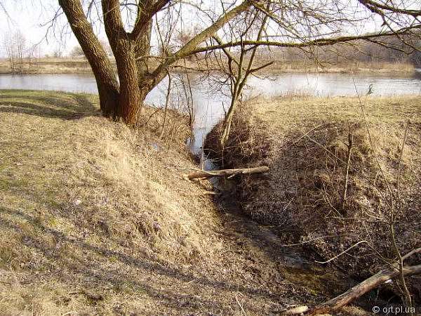 Рідний край - Дзюбовщина