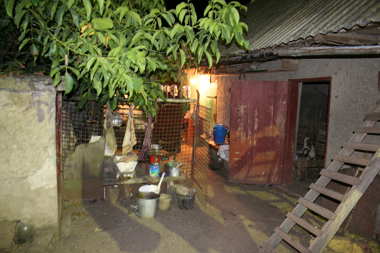 Воробьевка (Ляхово-2008) - Вороб'ївка