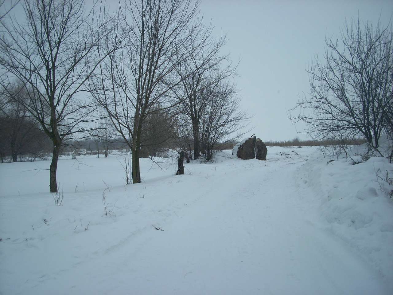 Вороб’ївка - Безбородьки