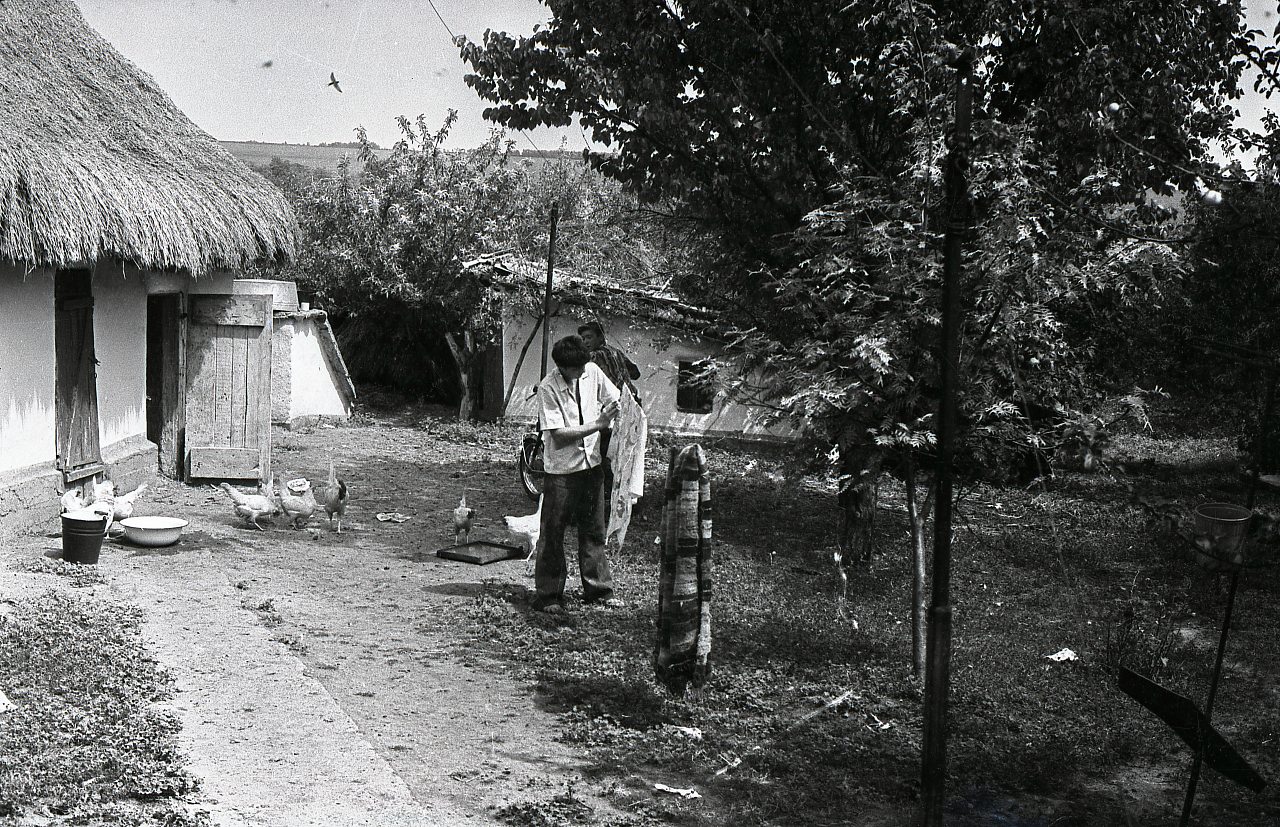 с.Крикунка (70-х, 80-х годов) - Крикунка