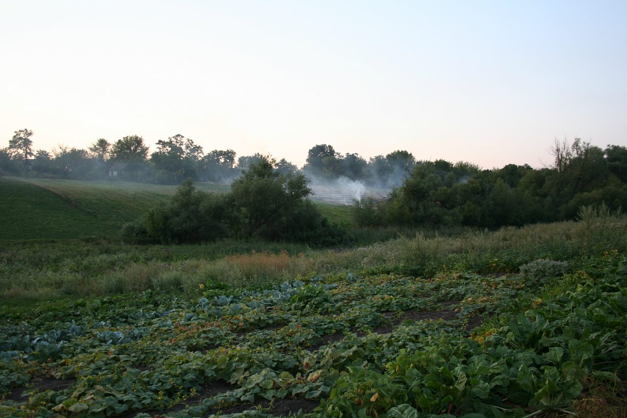 Воробьевка (Ляхово-2008) - Вороб'ївка