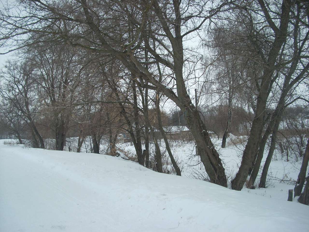 Вороб’ївка - Безбородьки