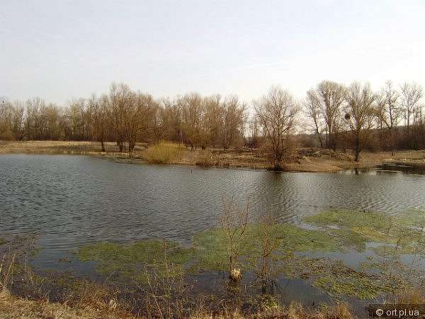 Рідний край - Дзюбівщина