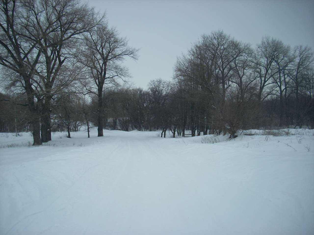 Вороб’ївка - Безбородьки