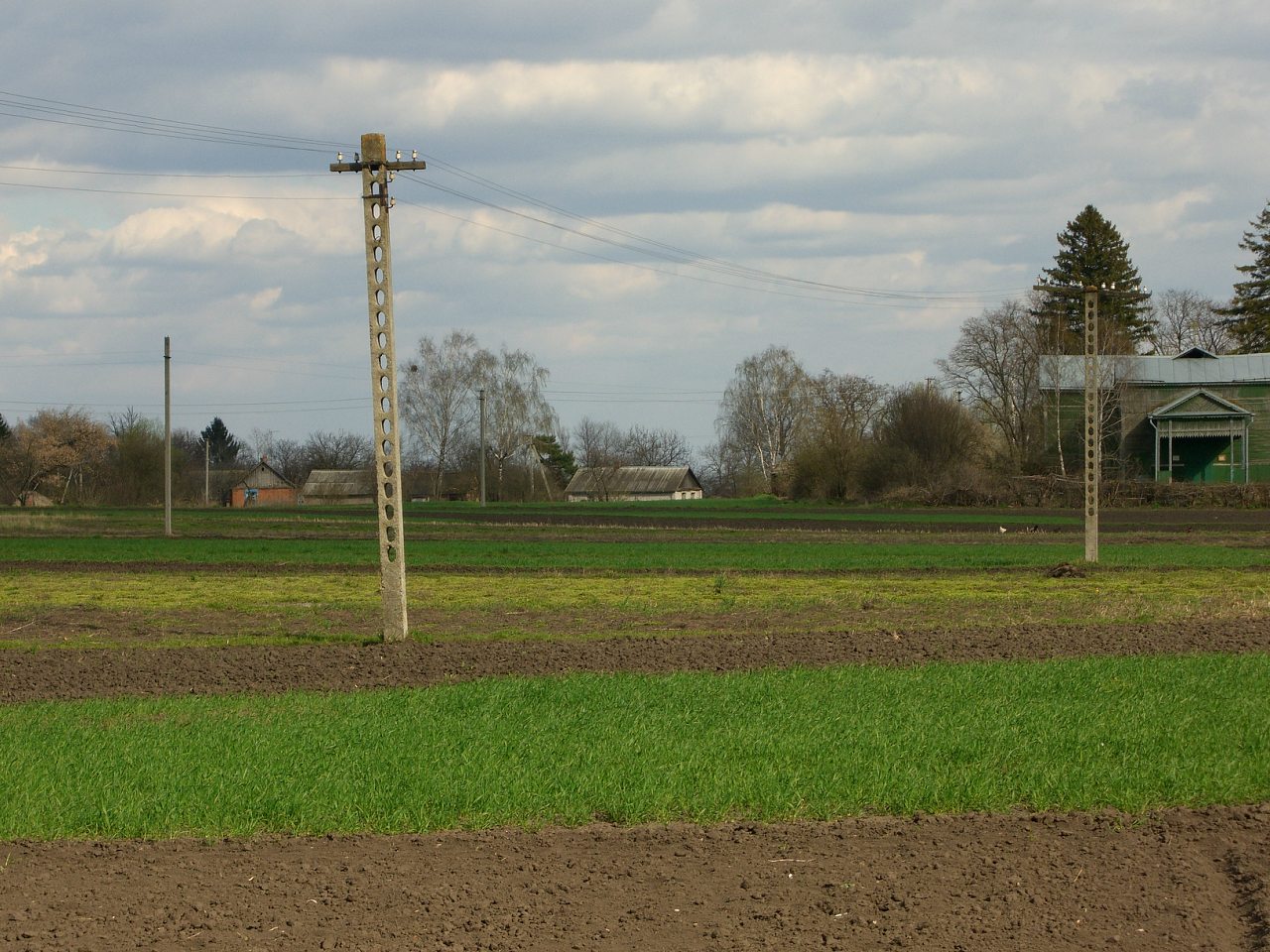 с.Сингаевка - Сингаївка