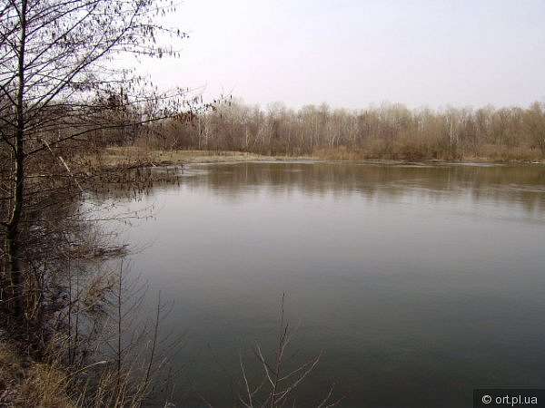 Рідний край - Дзюбівщина