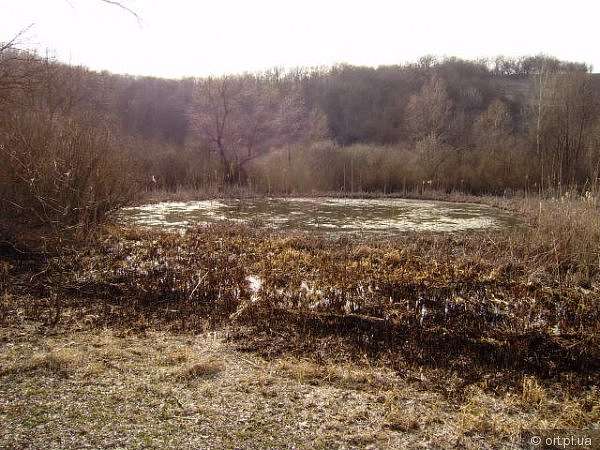 Рідний край - Дзюбівщина
