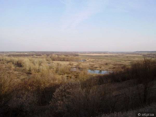 Рідний край - Дзюбівщина