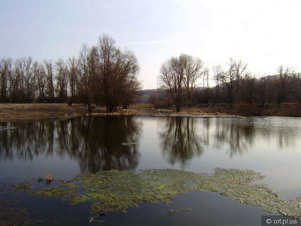 Рідний край - Дзюбівщина