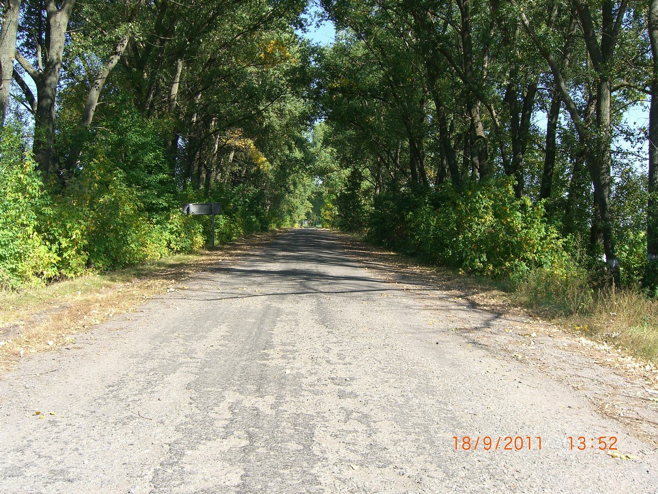с.Сингаевка - Сингаївка