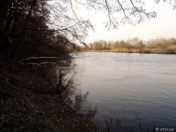 Рідний край - Дзюбівщина