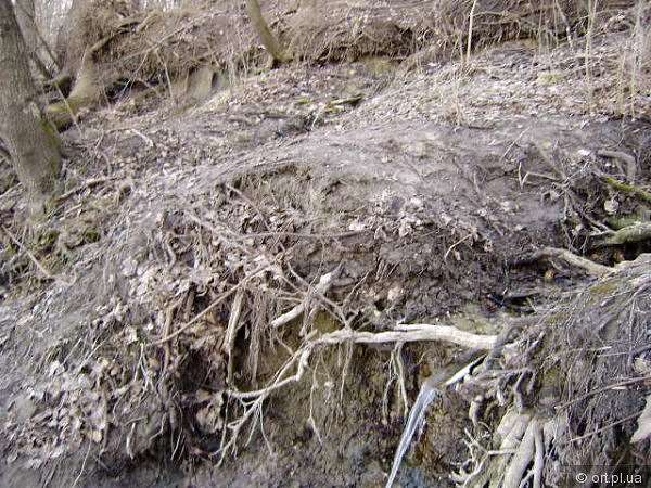 Рідний край - Дзюбівщина