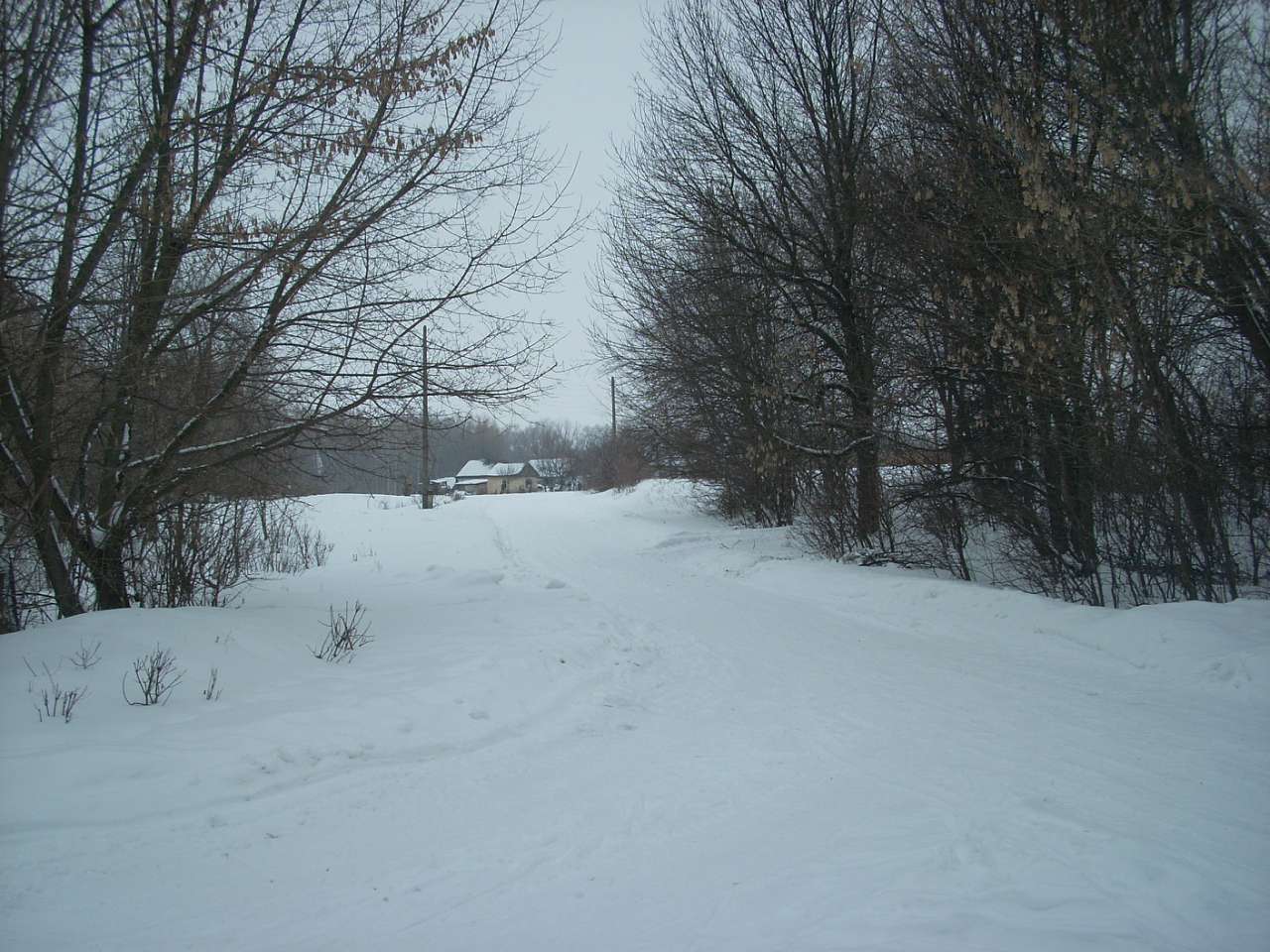 Вороб’ївка - Безбородьки