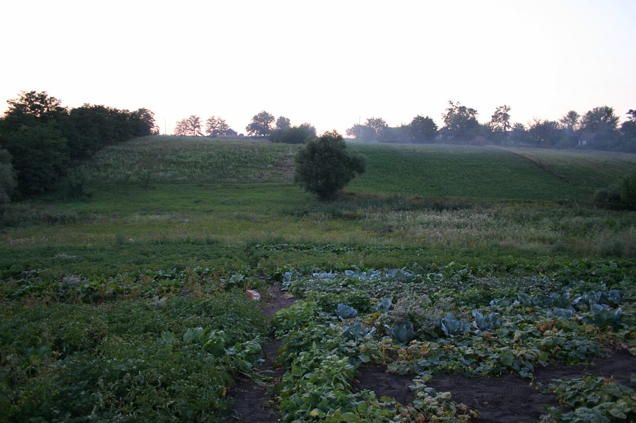 Воробьевка (Ляхово-2008) - Вороб'ївка